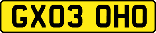 GX03OHO