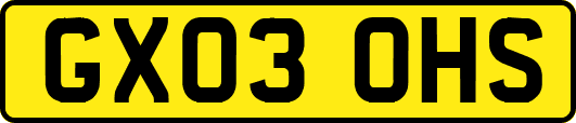 GX03OHS