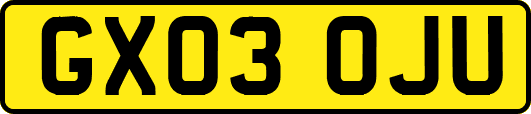 GX03OJU
