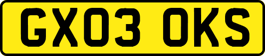 GX03OKS