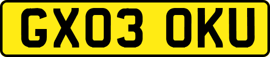 GX03OKU
