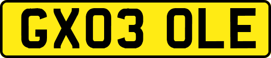 GX03OLE