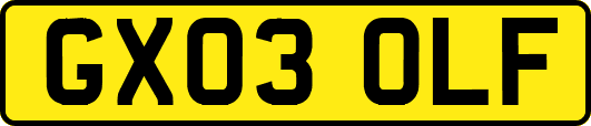 GX03OLF