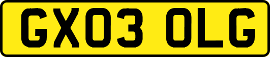 GX03OLG