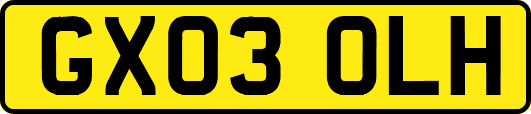 GX03OLH