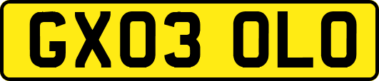 GX03OLO