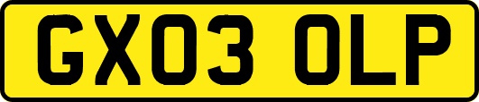 GX03OLP
