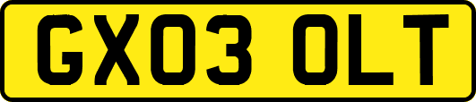 GX03OLT