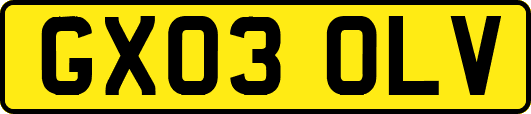 GX03OLV