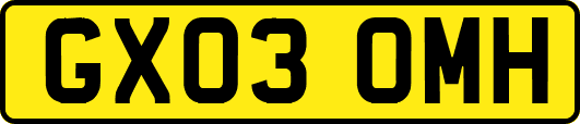 GX03OMH