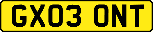 GX03ONT