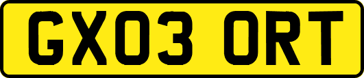 GX03ORT