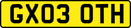 GX03OTH