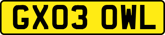 GX03OWL