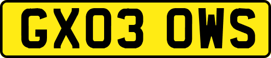 GX03OWS