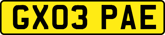 GX03PAE