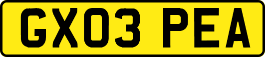 GX03PEA