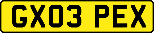 GX03PEX