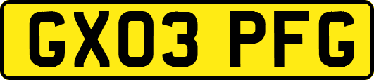 GX03PFG