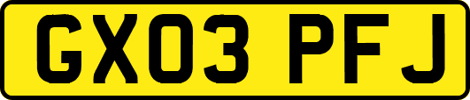 GX03PFJ