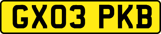 GX03PKB