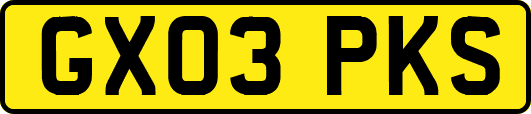 GX03PKS