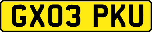 GX03PKU