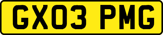 GX03PMG