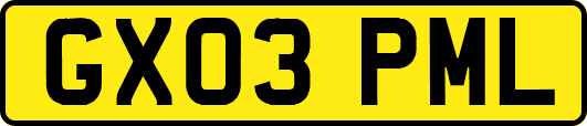 GX03PML