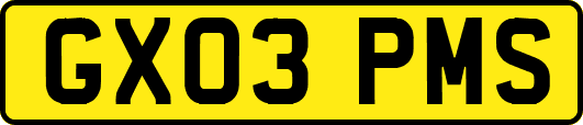 GX03PMS