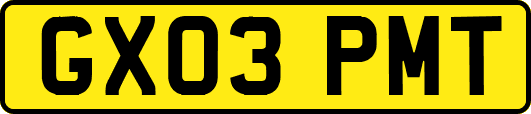 GX03PMT