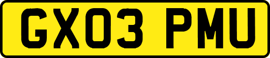 GX03PMU