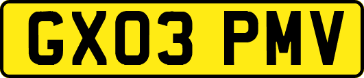 GX03PMV