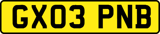 GX03PNB