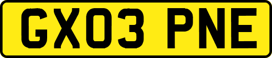GX03PNE