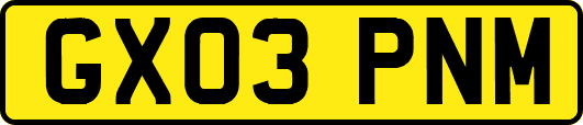 GX03PNM