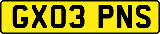 GX03PNS