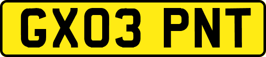 GX03PNT