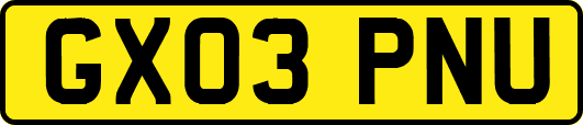GX03PNU
