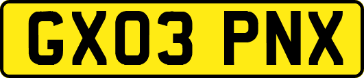 GX03PNX