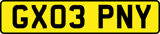 GX03PNY