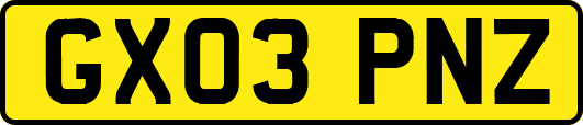 GX03PNZ