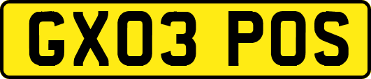 GX03POS