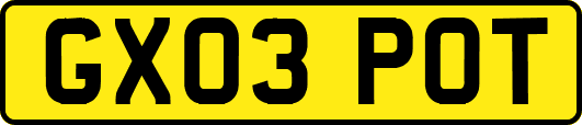 GX03POT