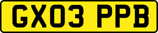 GX03PPB