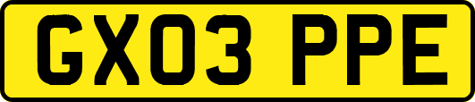 GX03PPE
