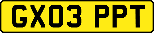 GX03PPT