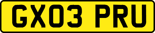 GX03PRU