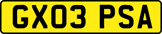 GX03PSA