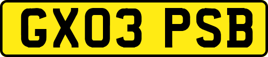 GX03PSB